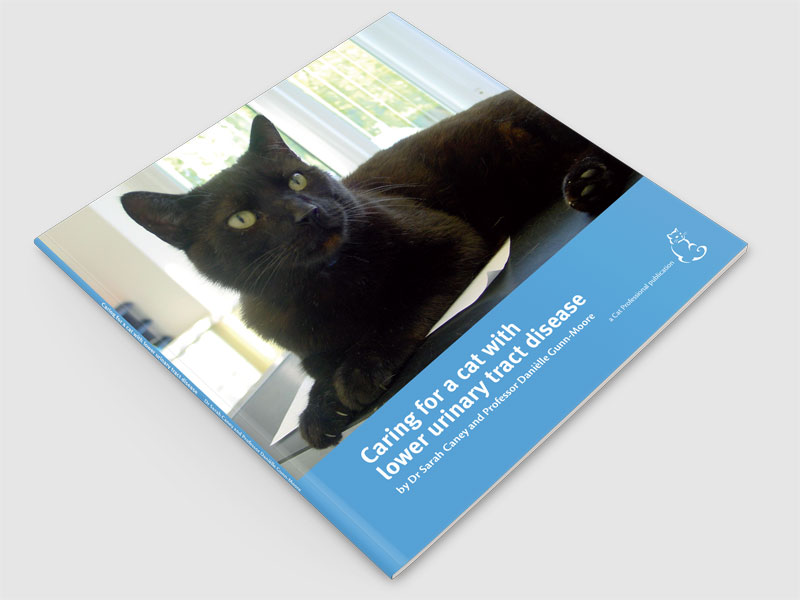 Caring for a cat with lower urinary tract disease