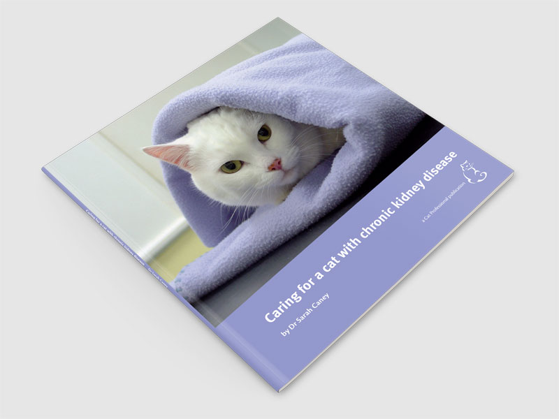 Kidney problems in cats treatment discount